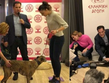 «Δεν είναι για πλάκα!»: Τι εξηγήσεις δίνει ο Άδωνις Γεωργιάδης για τα σκυλιά που... ακούνε Αρχαία Ελληνικά (φώτο)